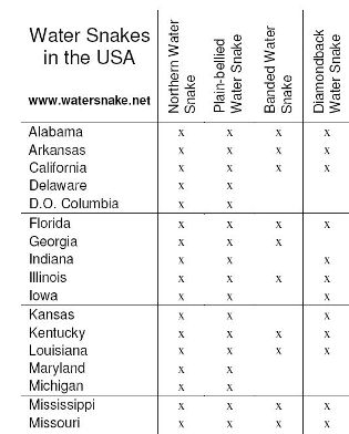 Distribution of Water Snakes in the USA
